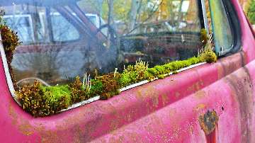Autofriedhof Båstnäs